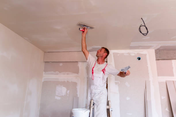 Best Drywall Removal and Disposal  in Owensville, IN